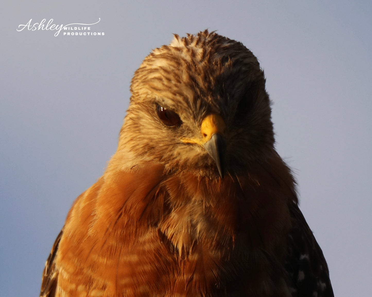 You Lookin' at Me?
